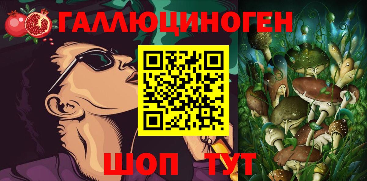 Искитим  Галлюциногенные грибы ЛСД  Вход с VPN 